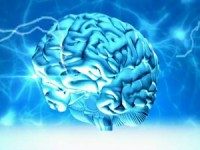 /album/galeria-de-fotos-pagina-inicial/grep-comeco-1-jpg/